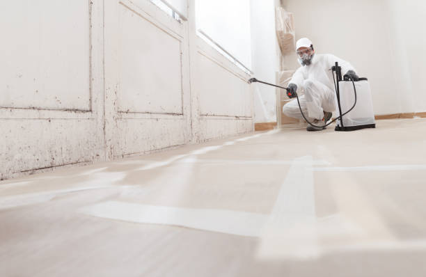 24/7 Emergency Mold Remediation experts in Chevy Chase, MD