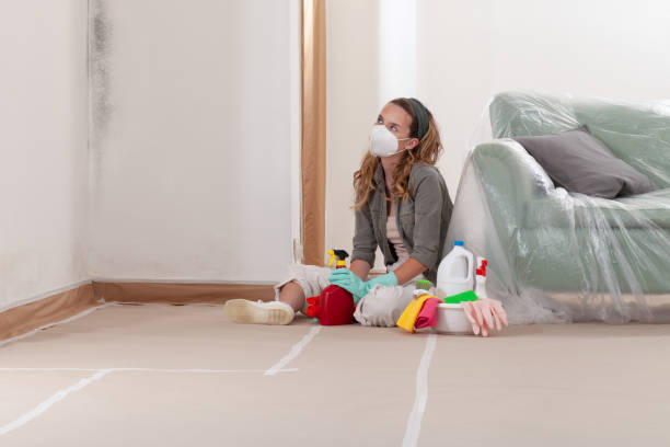 Reliable Mold Remediation contractor in Chevy Chase, MD by Cheap Mold Removal
